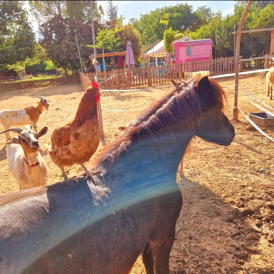 Sejour A La Ferme Jouques Exterior foto